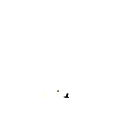 ff555