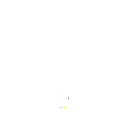 ff555