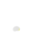 ff555